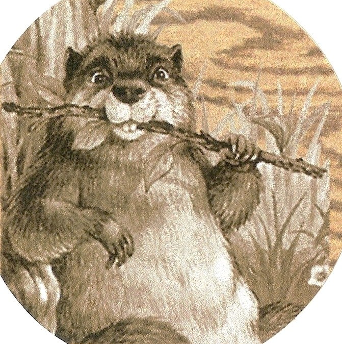 image of business Woodchuck Flooring