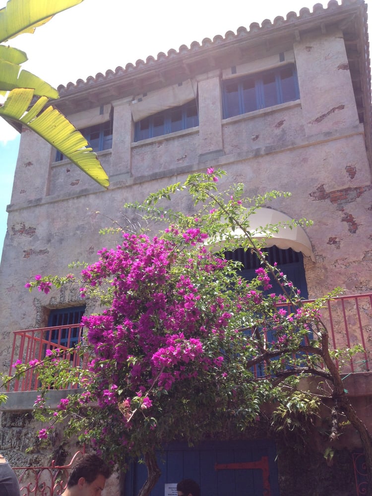 Pool 111 Photos Swimming Pools Coral Gables, FL Reviews Yelp