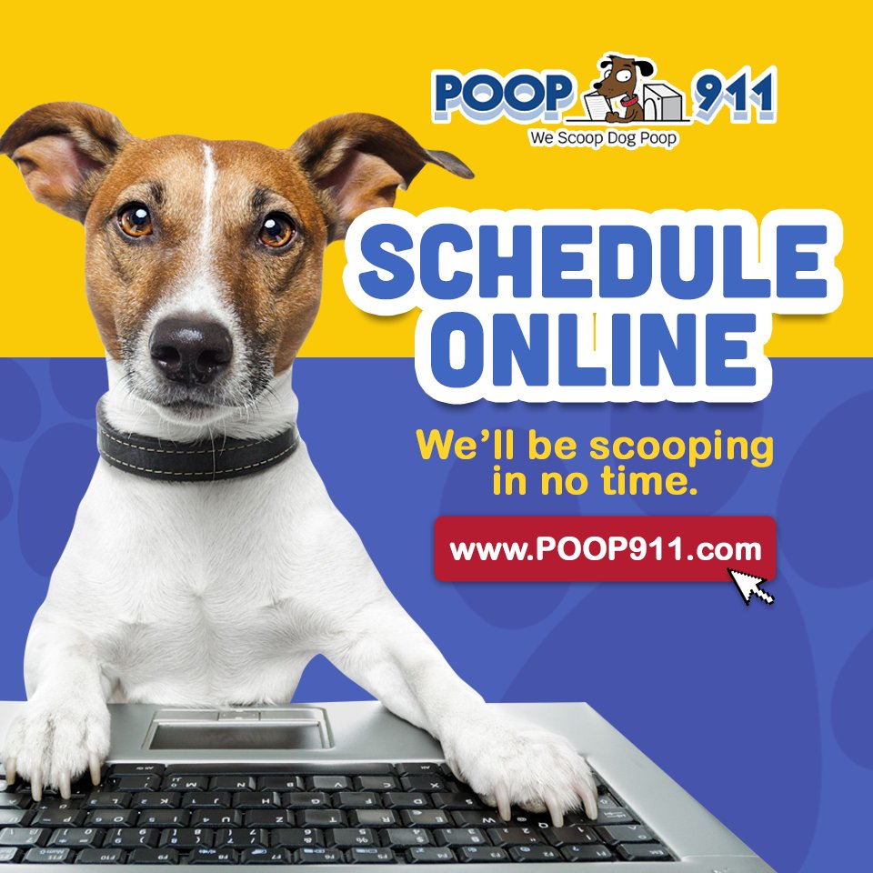 POOP 911 - Treasure Coast Image