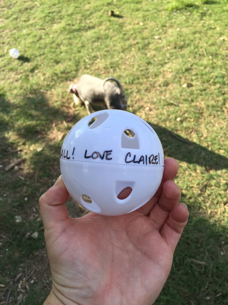 Norwood Estate Dog Park 51 Photos & 110 Reviews Parks 1009