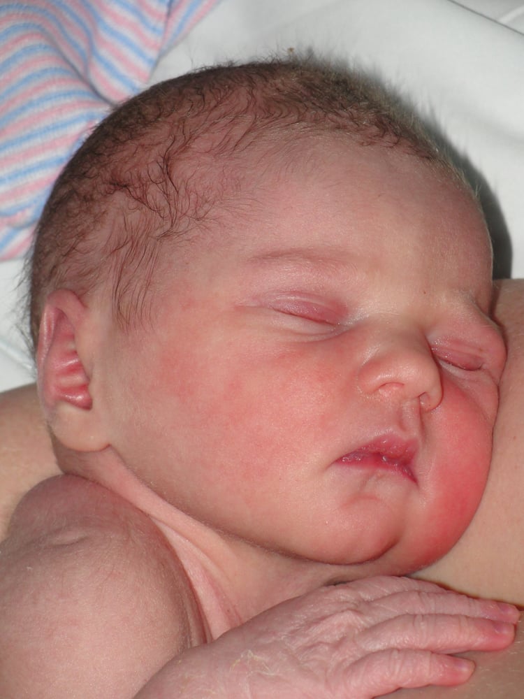 Breastfeeding Lady, LLC