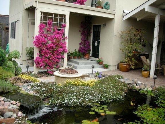 Quilici Gardening