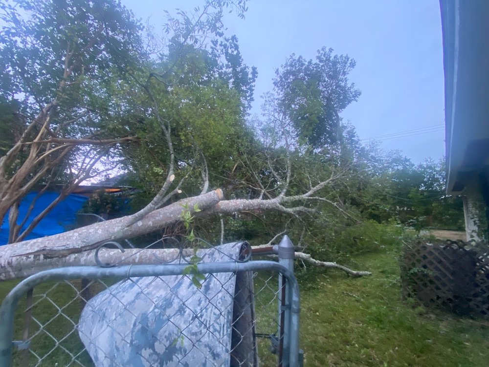H&H Tree Service