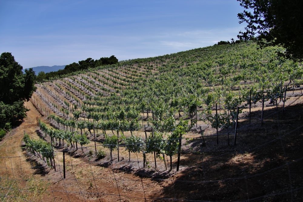 Ridge Vineyards 301 Photos & 204 Reviews Wineries 17100