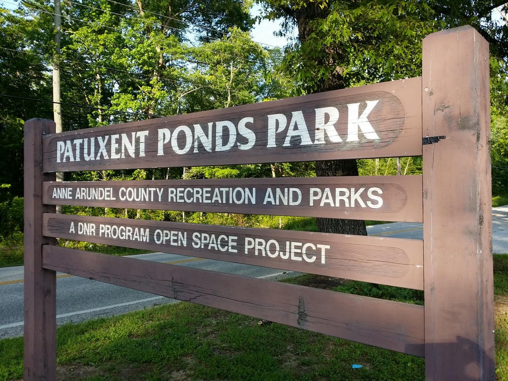 Patuxent Ponds Park