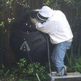 Houston Bee Removal 27 Photos Pest Control 3926 Cypress Lake Photo Of Houston Bee Removal Spring Tx United States