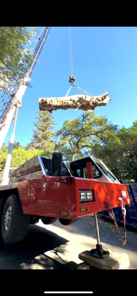 Navarro Maintenance and Tree Service