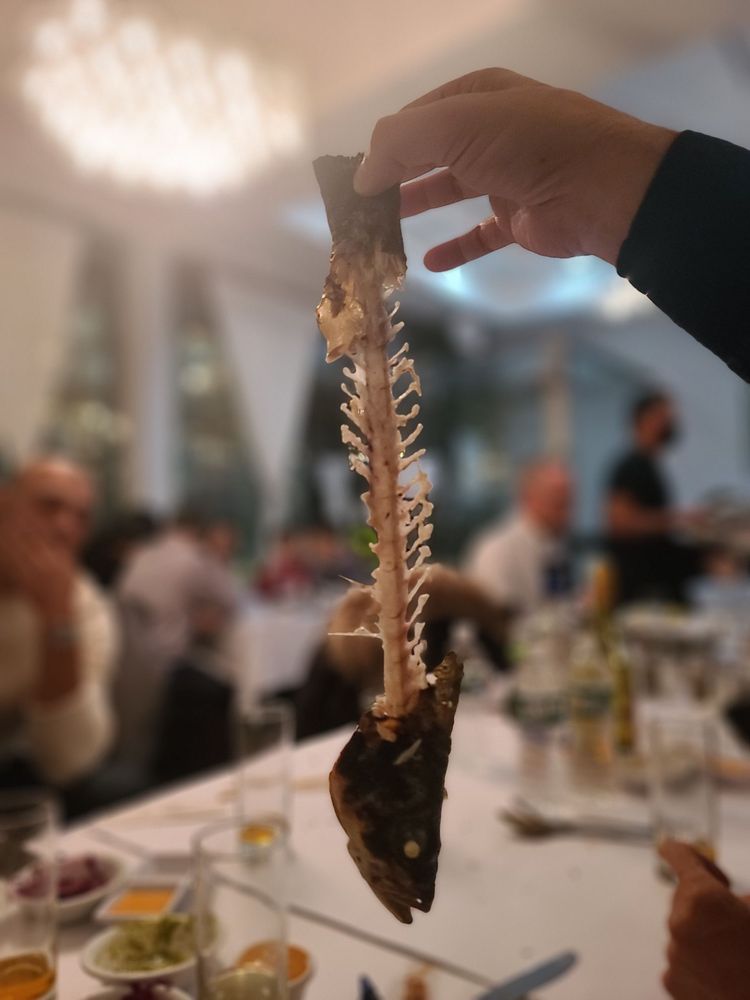 Turquoise Kosher Fish Restaurant Turquoise Kosher Fish Restaurant