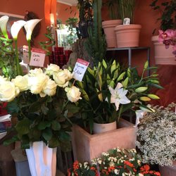 Blumen Maaß - 14 Fotos - Blumenladen & Florist - Herzogstr. 1 ... Blumen Maaß - 14 Fotos - Blumenladen & Florist - Herzogstr. 1 ...