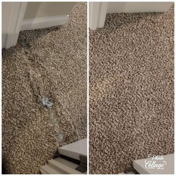 Yes Pet Friendly Carpet Cleaning Services 10 Photos Photo Of Yes Pet Friendly Carpet Cleaning Services Sugar Hill Ga United States