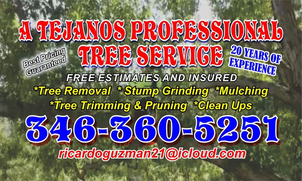 A Tejanos Profesional Tree Service