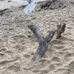 Dunes Park Beaches 665 Atlantic Ave Westerly Ri Phone Number Photo Of Dunes Park Westerly Ri United States