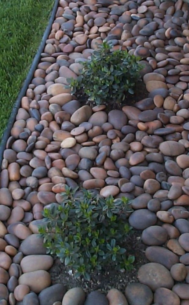 W & M Upgrade Lawn Care