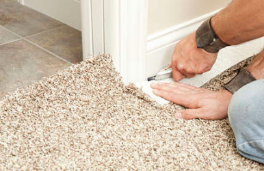 image of business Jacksonville Carpet Repair