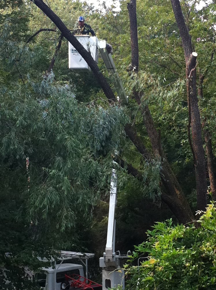 Birchwood Tree Service Tree Services Bergen County Area, Ramsey, NJ