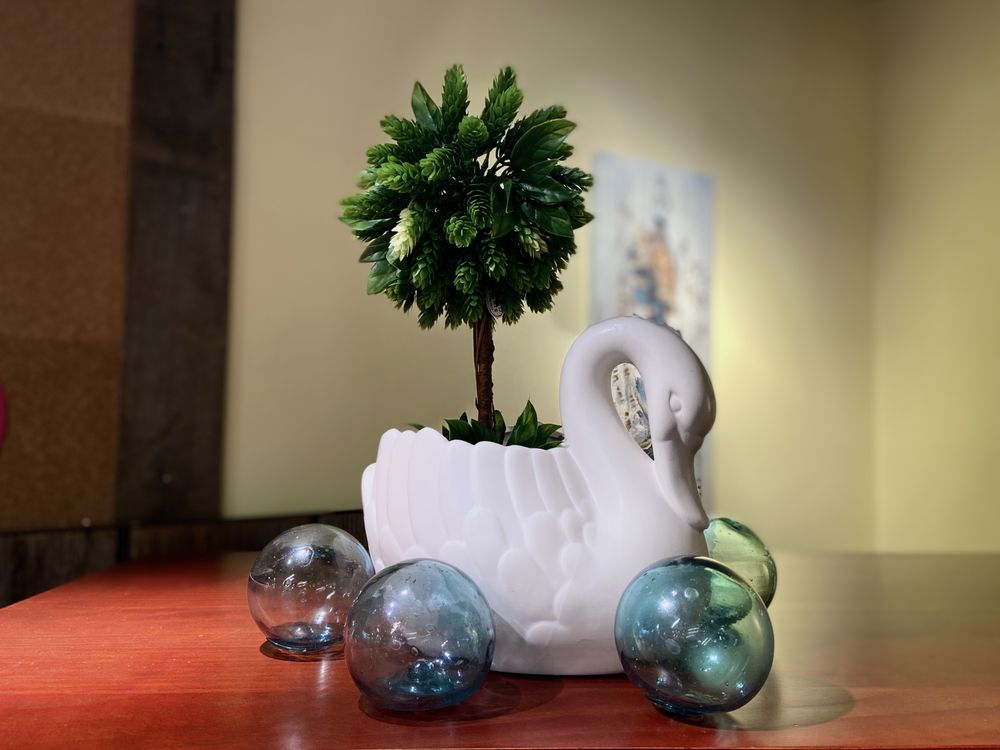 RENEW Home and Decor