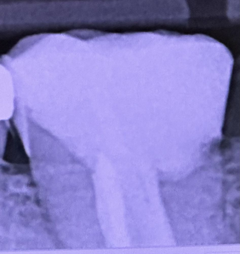 image of business Henricksen Family Dental