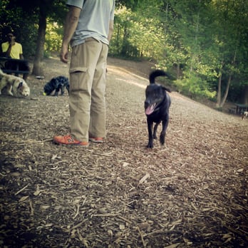 Oakhurst Dog Park Decatur Ga Oakhurst Dog Park Decatur Ga