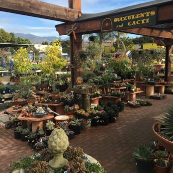 terra sol garden center 52 photos 30 reviews nurseries
