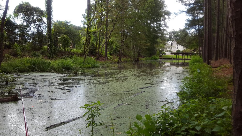 Lake Houston Marina & Boat Boating 10611 Fm 1960 Rd, Huffman, TX
