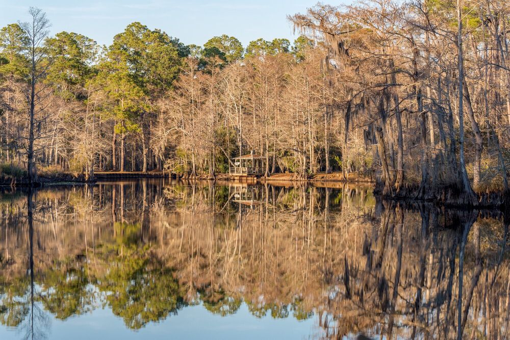 Big Branch Marsh National Wildlife Refuge 65 Photos Public Services
