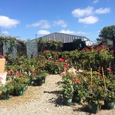 Evergreen Nursery - 112 Photos & 78 Reviews - Nurseries & Gardening ...