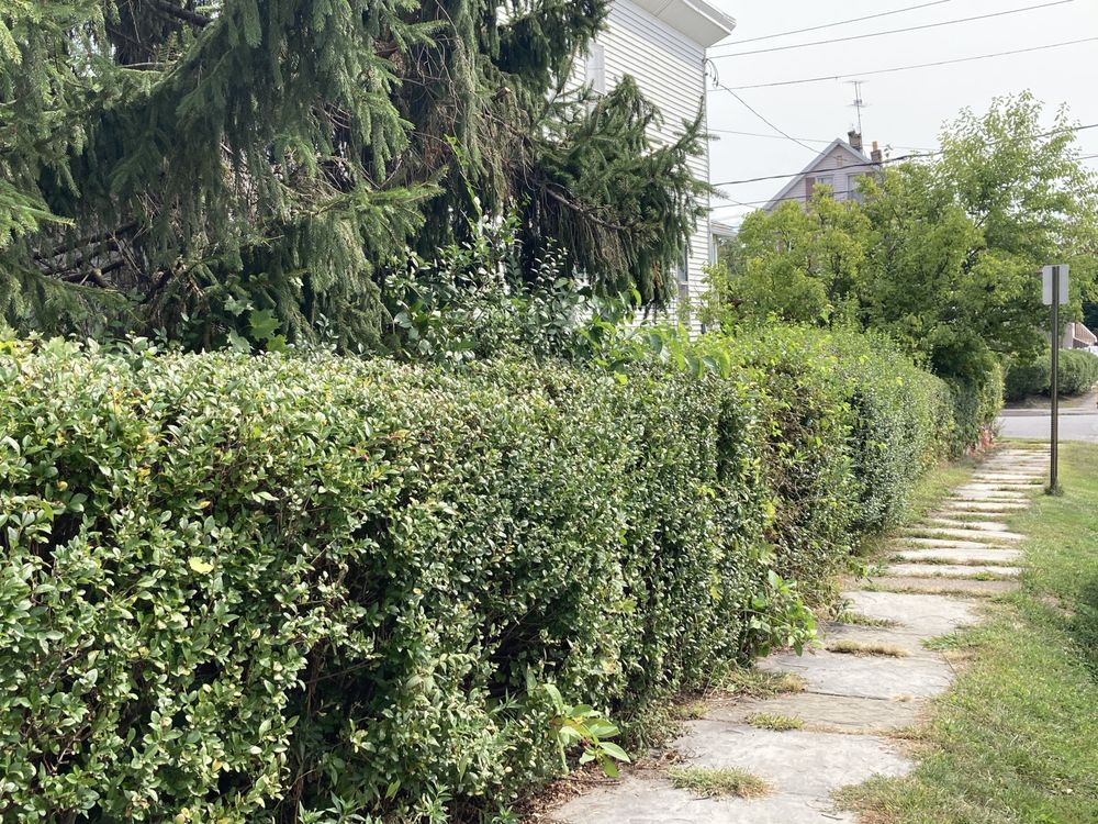 Ascape Landscaping