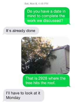 Duke's Tree and Landscape