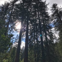 Cazadero Ca Bed And Breakfast Cazadero Ca Bed And Breakfast