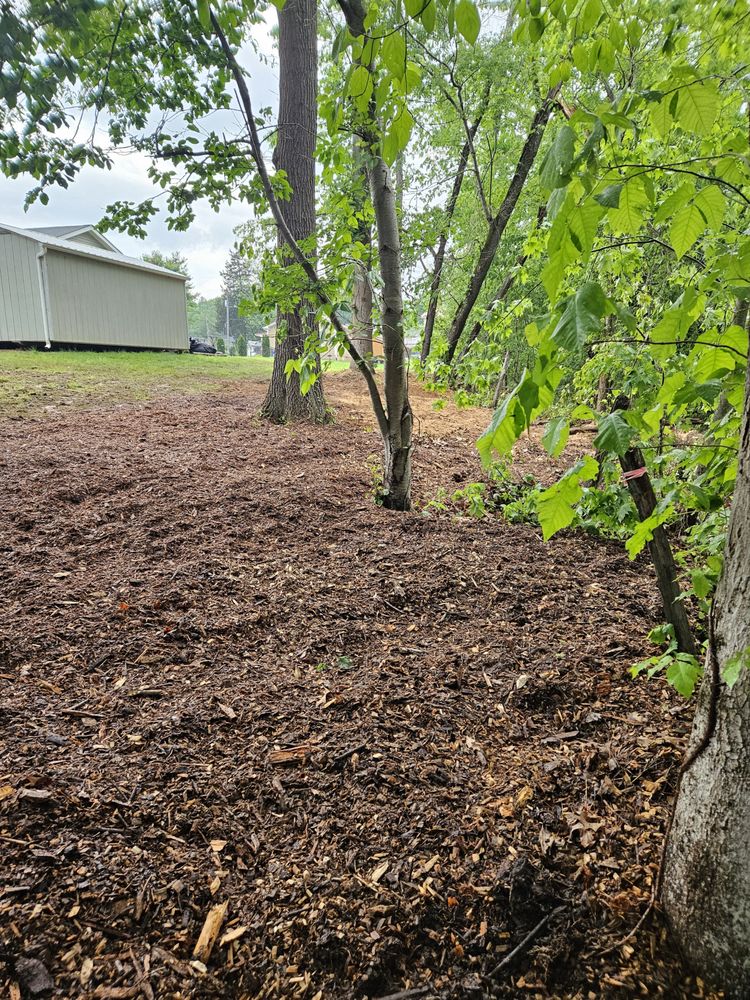 Quality Tree Service