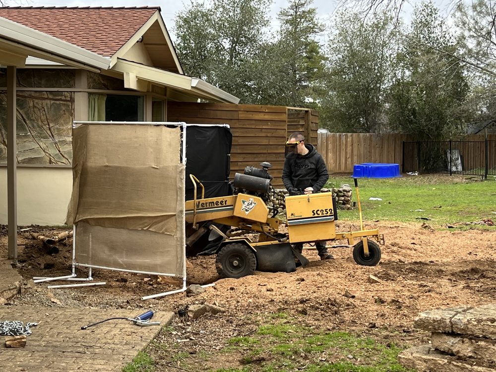 Top Knotch Stump Grinding