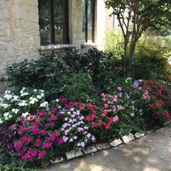 edible landscapes dallas 123 photos landscaping north dallas