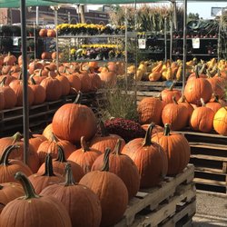 photo of fairless hills garden center fairless hills pa united states fall - Fairless Hills Garden Center photo of fairless hills garden center fairless hills pa united states fall - Fairless Hills Garden Center