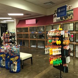 pet store toledo ohio pet store toledo ohio