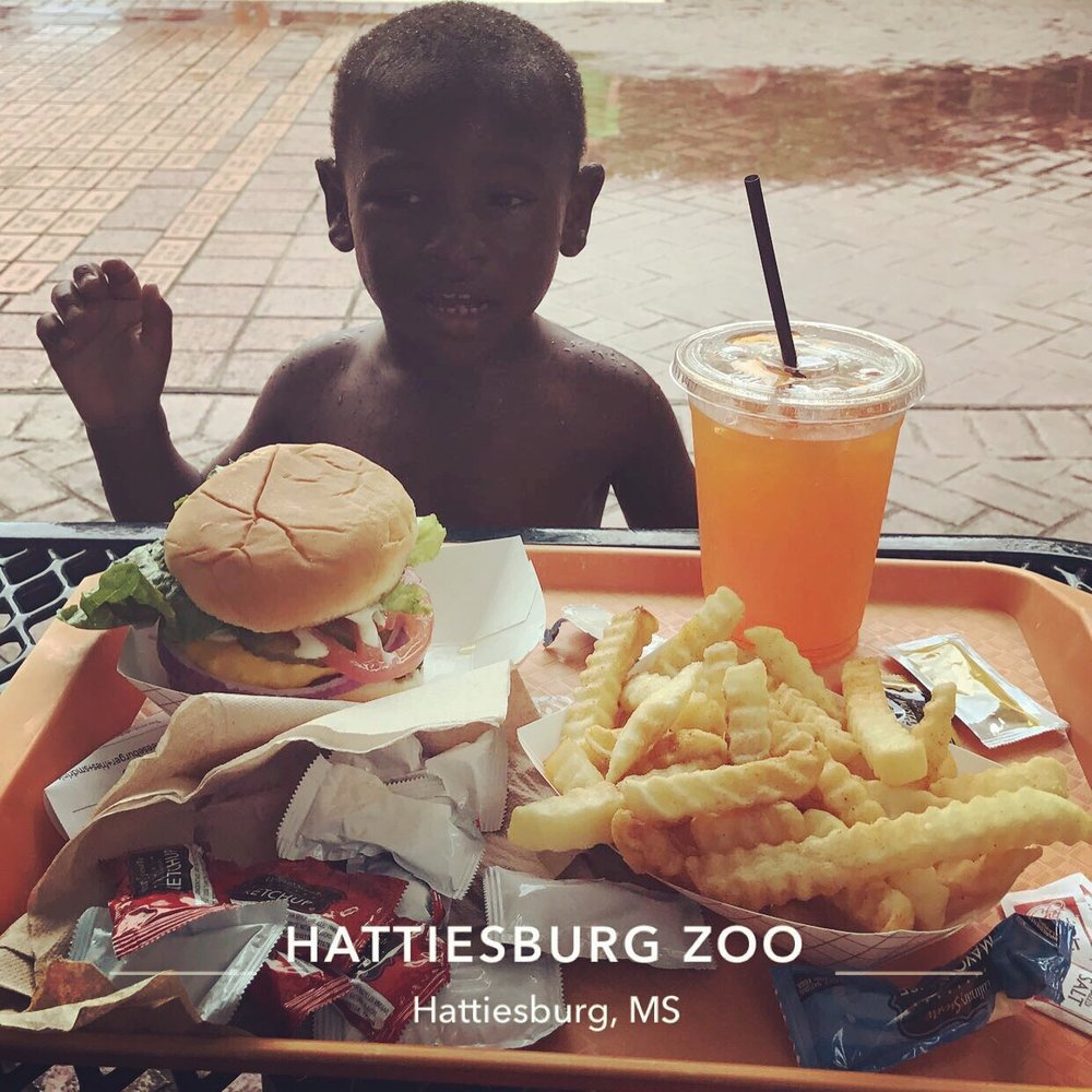 Kamper Park and Zoo 54 Photos & 10 Reviews Parks 107 S 17th Ave