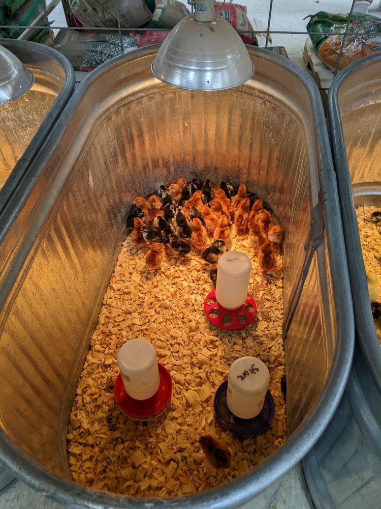 BLAIN'S FARM & FLEET - Madison, WI