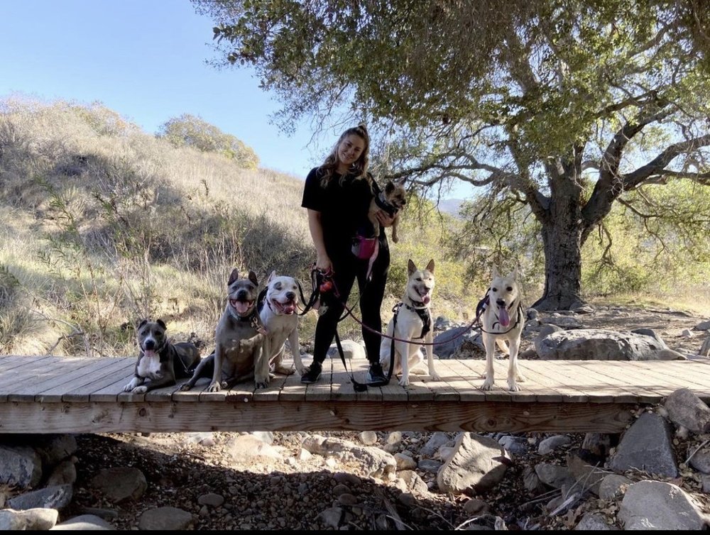 Happy Tails