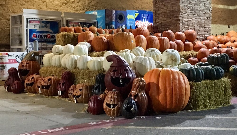 Albertsons Market 22 Photos & 17 Reviews Grocery 1300 E 10th St