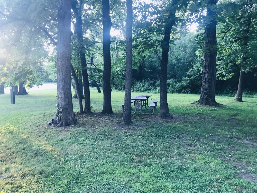 Camp Ground Road Woods