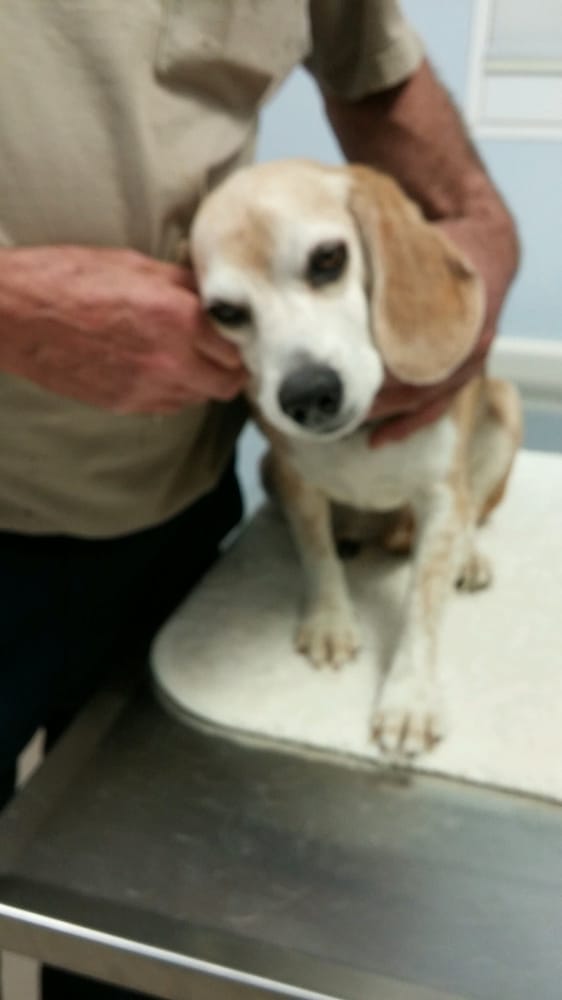 Danville Area Humane Society 21 Photos Animal Shelters 996 S