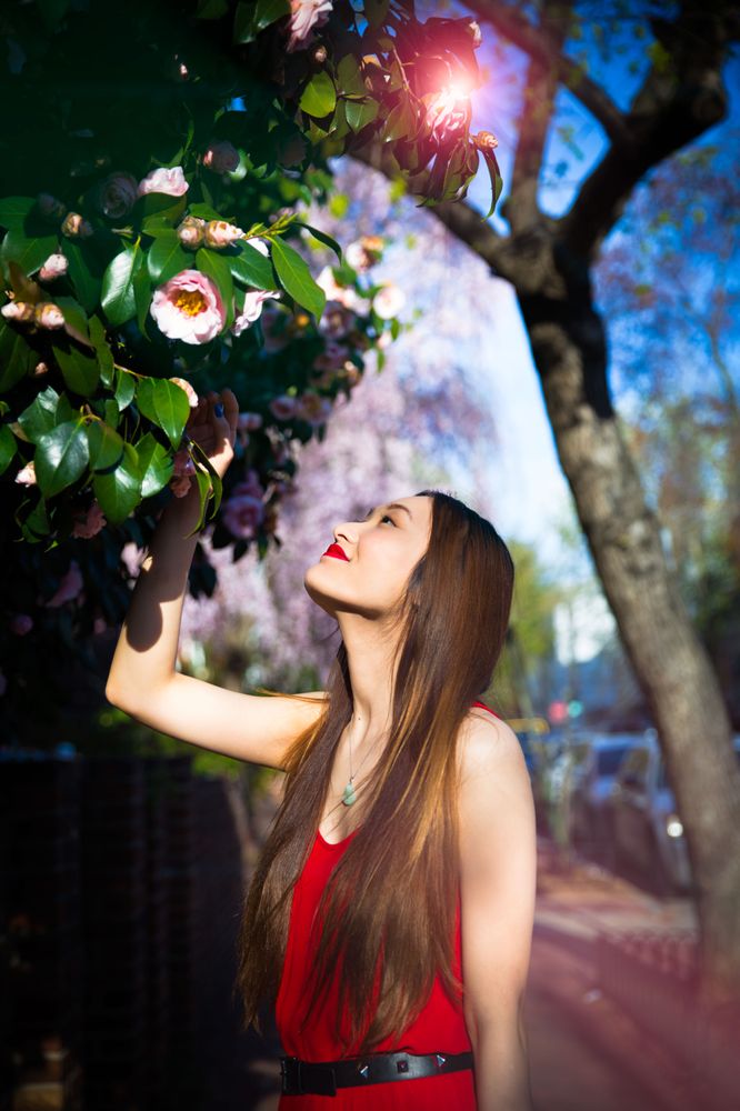 Muse In-Sight Photography