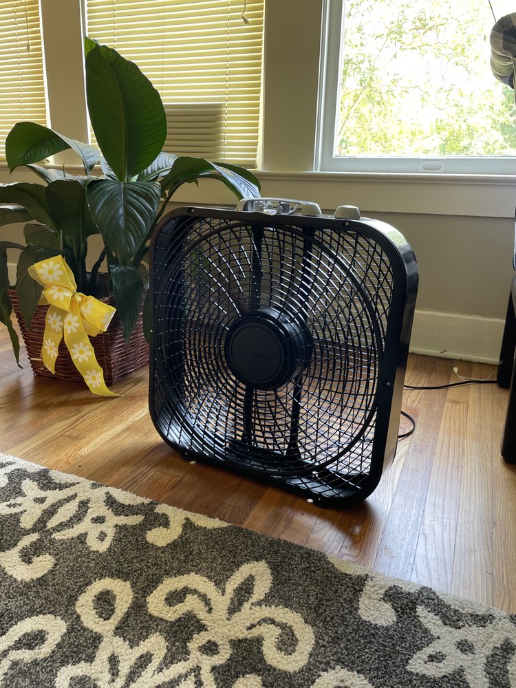 image of business Richter