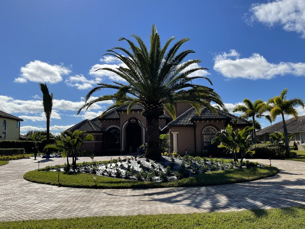 Brevard’s Best Tree Service & Landscaping