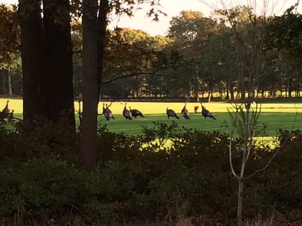 Calverton National Cemetery 21 Photos & 12 Reviews Funeral Services