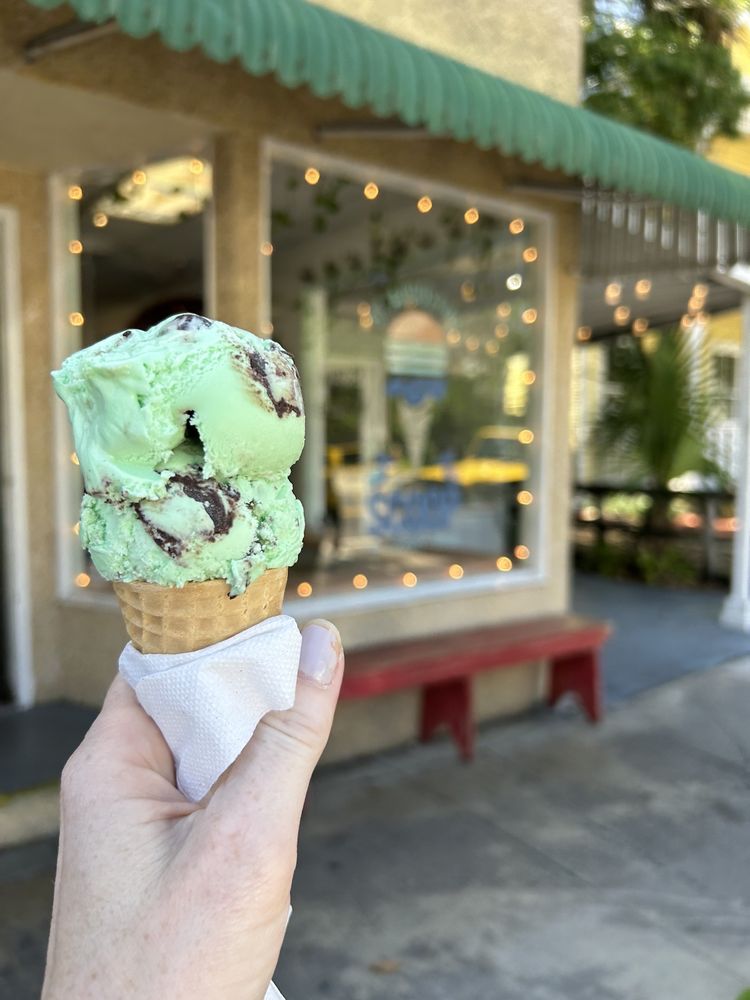The St. Augustine Scoop