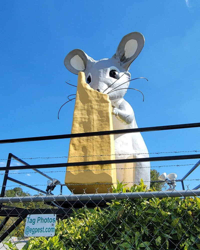 Enviroguard Pest Solutions
