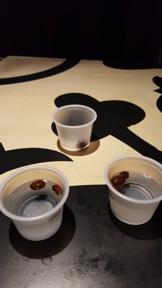 Casita Miramar 1000 Photos & 592 Reviews Puerto Rican Av. Miramar