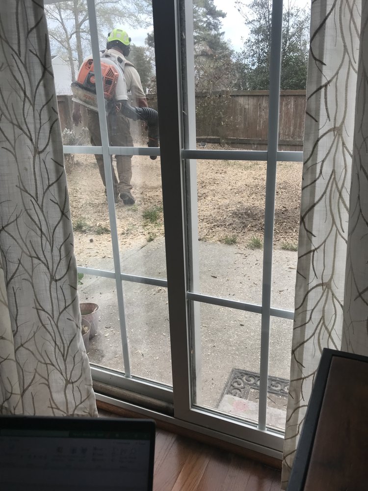 Alley's Tree Service