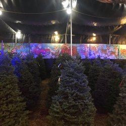toluca lake christmas trees 14 beitr 228 ge weihnachtsbaum toluca lake christmas trees 14 beitr 228 ge weihnachtsbaum