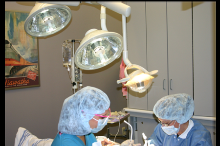 image of business Starkey Sedation Dentistry